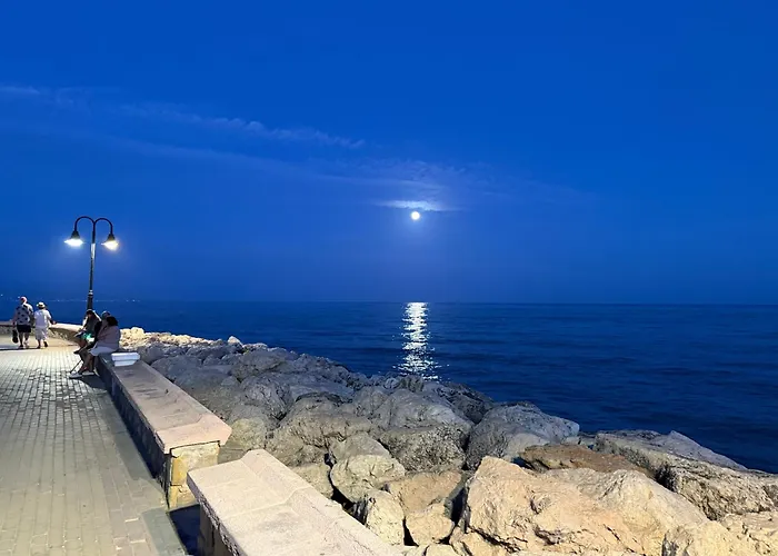 Nogalera By Jzr Torremolinos