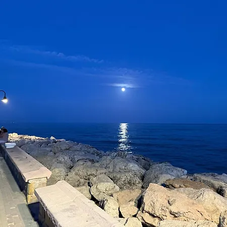 Nogalera By Jzr Torremolinos